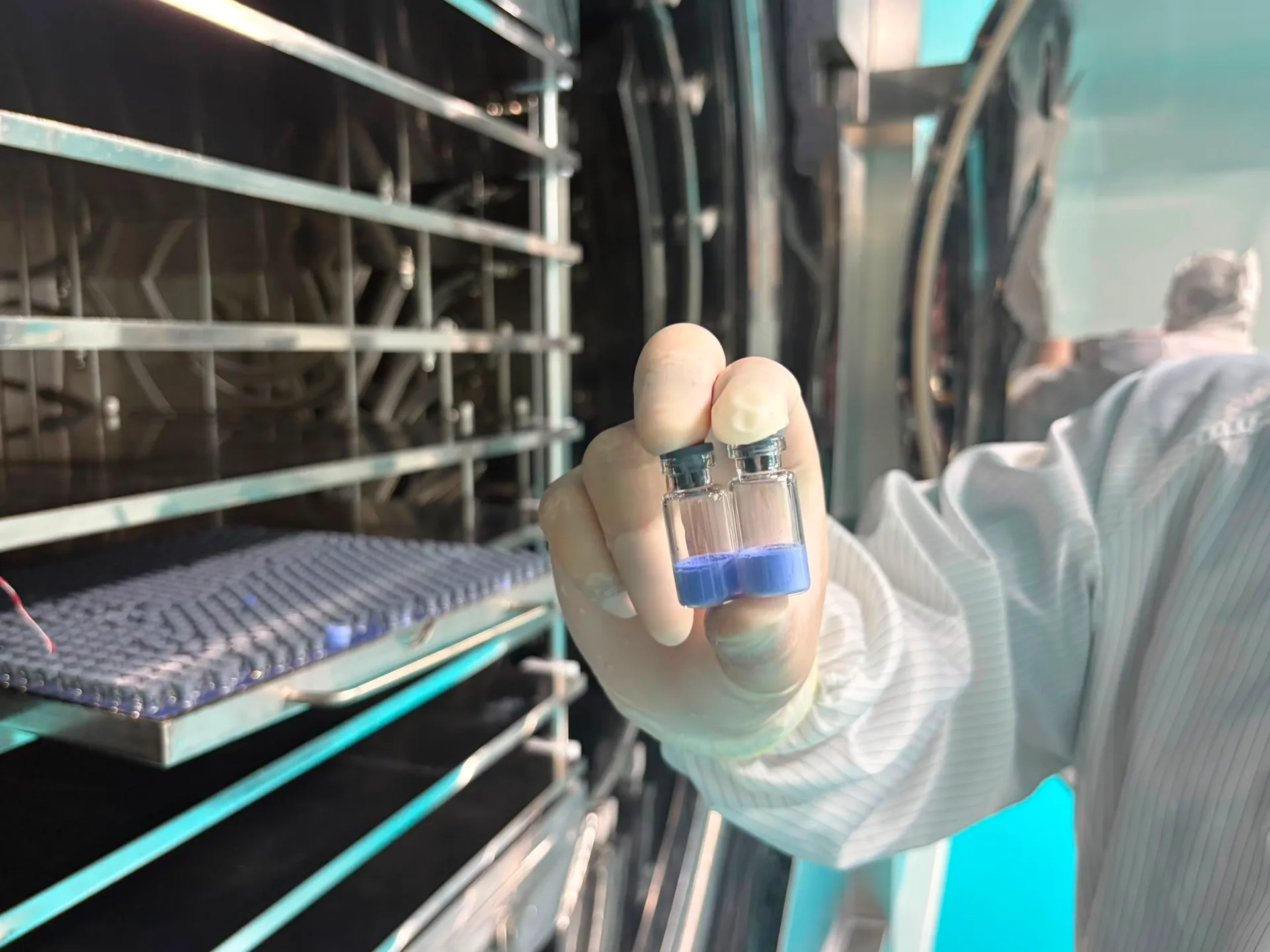 Lyophilized vial inspection